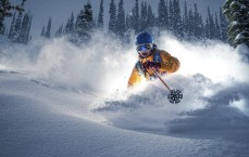 开云综合服务_半场风云，国米1-1博洛尼亚，图拉姆闪电破门，奥尔索利尼点射扳平激战意甲